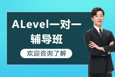 深圳ALevel一对一辅导班