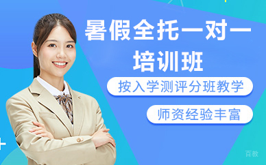 北京暑假全托一对一培训班