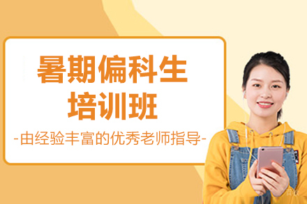 北京暑期偏科生培训班