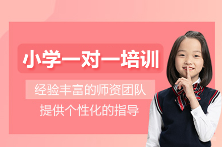 南京小学一对一培训班