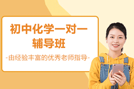 厦门初中化学一对一辅导班