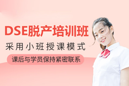 DSE脱产培训班