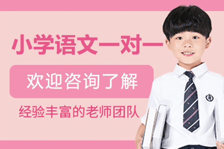 厦门小学语文一对一辅导课程