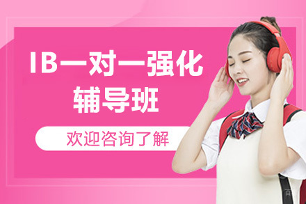 深圳IB一对一强化辅导班