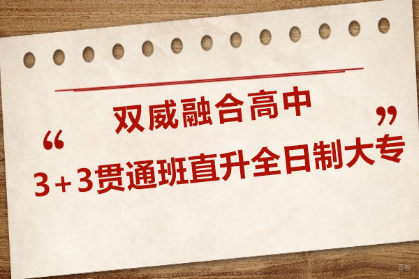 上海早教中小学-上海双威融合高中3+3贯通班直升全日制大专