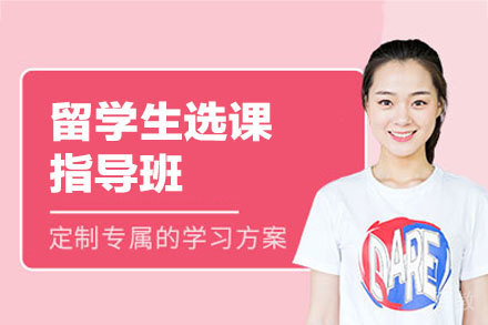 留学生选课指导班