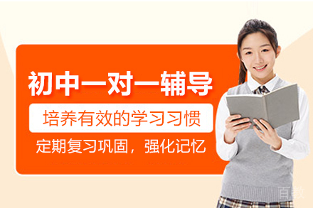 武汉初中一对一辅导班