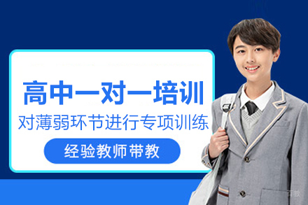 武汉高中一对一培训班