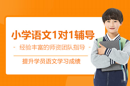 武汉小学语文一对一辅导班