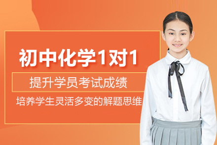 武汉初中化学1对1培训班