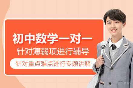 武汉初中数学一对一辅导班