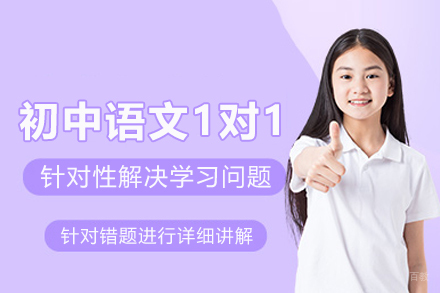 武汉初中语文一对一辅导班