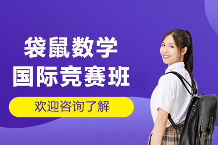袋鼠数学国际竞赛辅导班