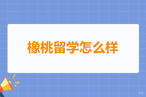 深圳橡桃留学怎么样