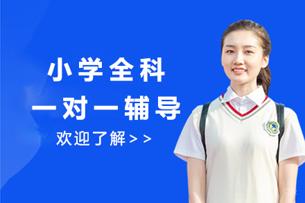 小学全科一对一辅导