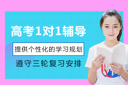 成都高考1对1辅导
