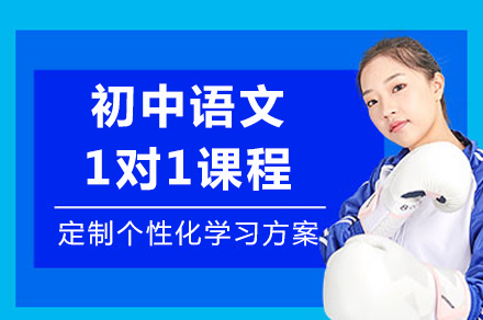 成都初中语文1对1课程