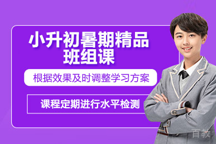 临沂小升初暑期精品班组课