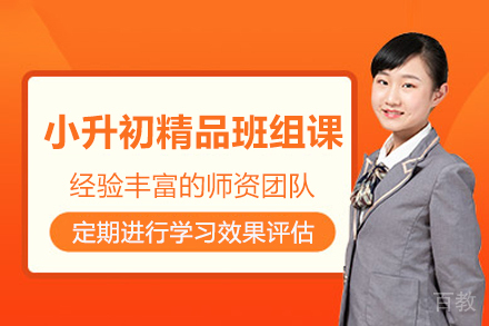 临沂小升初精品班组课