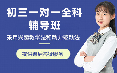 北京初三一对一全科辅导班
