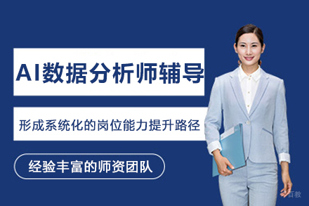 AI数据分析师辅导班