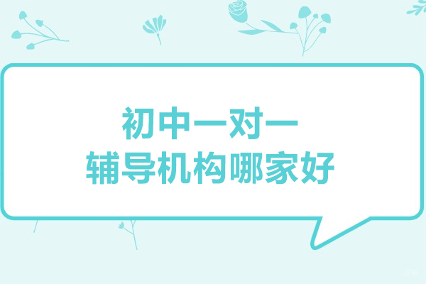 北京初中辅导-北京初中一对一辅导机构哪家好-推荐北京优师工场教育