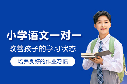 北京小学语文一对一培训班