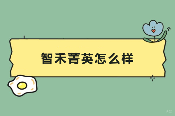 上海-上海智禾菁英怎么样