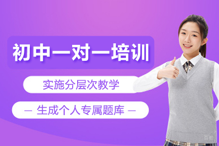 北京初中一对一培训班