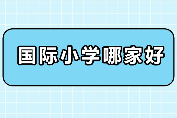 上海早教中小学-上海国际小学哪家好-民办圣华紫竹双语学校