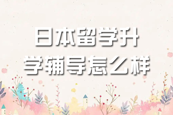 苏州出国语言-新领域私塾怎么样-好不好