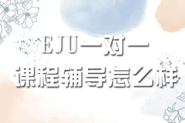 苏州出国语言-EJU一对一课程辅导怎么样-好不好