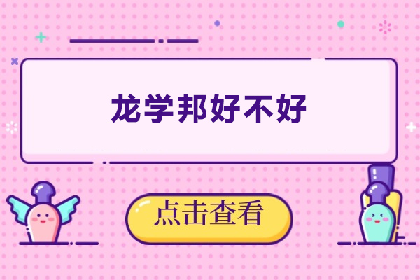 东莞龙学邦好不好