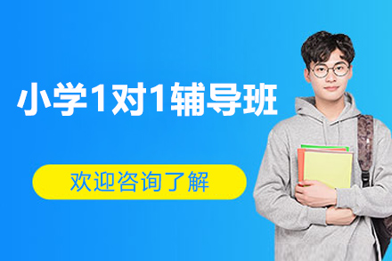 东莞小学1对1辅导班