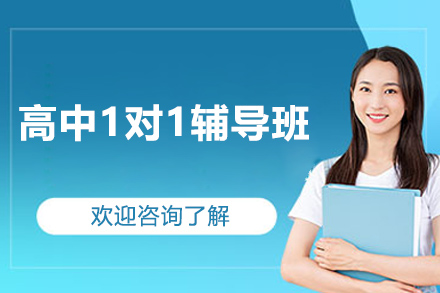 东莞高中1对1辅导班