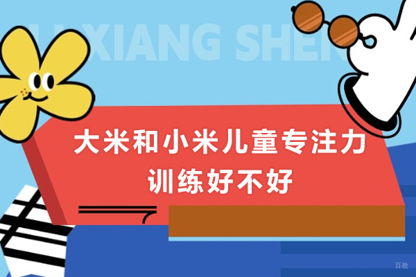 深圳大米和小米儿童专注力训练好不好