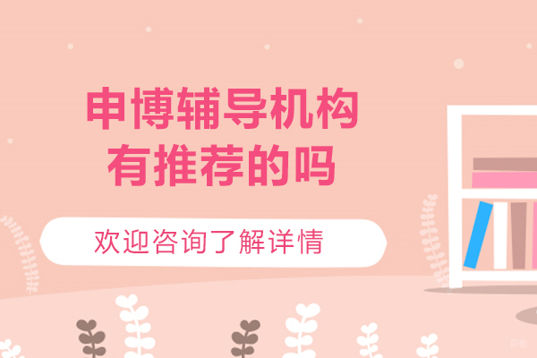 申博辅导机构有推荐的吗？申博有术