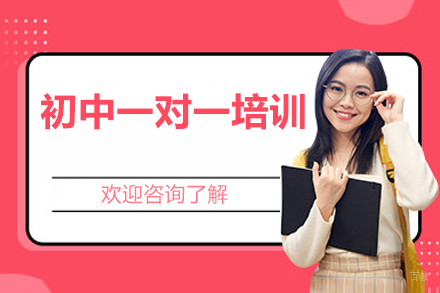 北京初中一对一培训