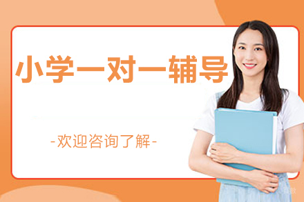 北京小学一对一辅导