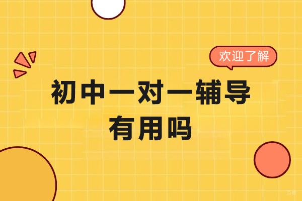 北京初中一对一辅导有用吗-初中生一对一辅导有效果吗