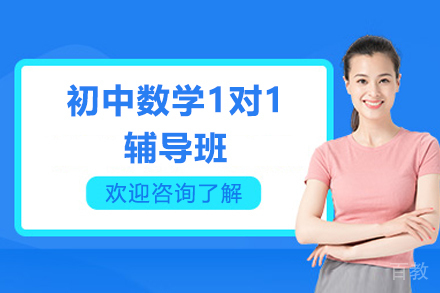 深圳初中数学1对1辅导班