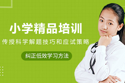 石家庄小学精品培训班