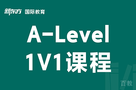 东莞A-Level一对一辅导班