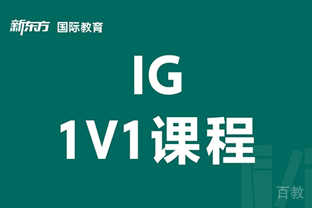 东莞IG一对一培训班