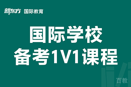 东莞国际学校备考1对1辅导班