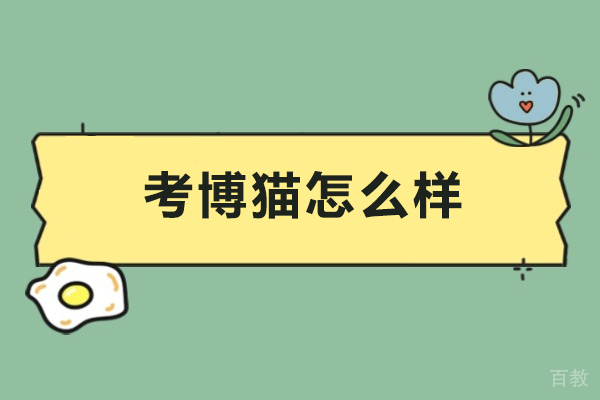 考博猫怎么样