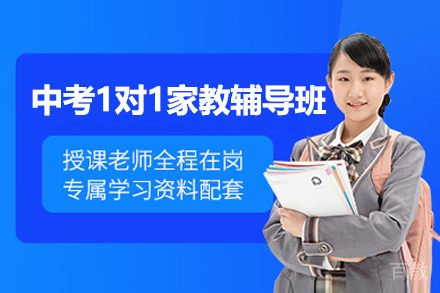 中考1对1家教辅导班