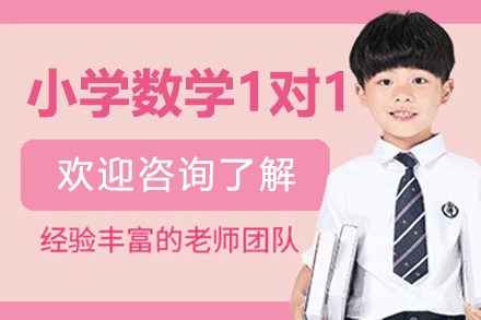 郑州小学数学1对1辅导课程