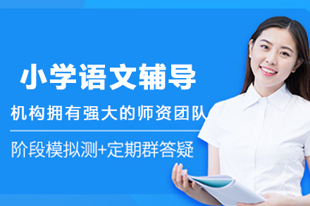 昆明小学语文1对1在线辅导班