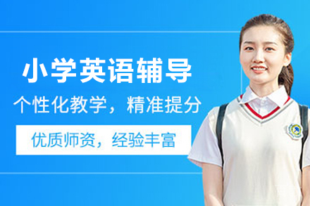 昆明小学英语1对1在线辅导班